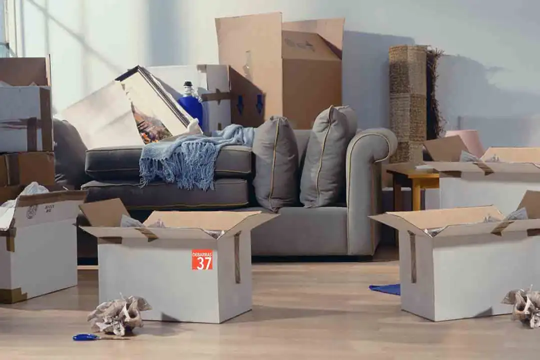 debarras vide maison demenagement